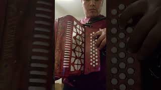 desempolvando el acordeon.