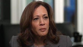 ‘Meaningless tripe’: Kamala Harris slammed for her ‘empty words’ in CNN interview