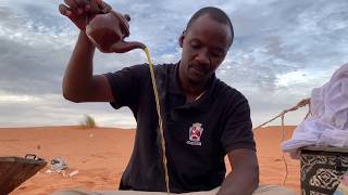 Mauritania Adrar Desert camp / Mauritanie Adrar Installation et première nuit en tente