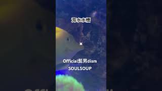 海水水槽の束の間✖︎ Official髭男dism /SOULSOUP/スパイファミリー