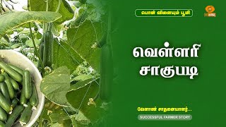 வெள்ளரி சாகுபடி | Successful Farmer