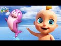 Baby Shark Türkçe Şarkısı - LooLoo Kids Türkçe Kanalında | Sevimli Çocuk Şarkıları