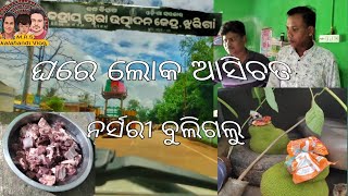 ଘରେ ଲୋକ୍ ଆସିଛନ // ନର୍ସରୀ ଗଲୁ //  #mrskalahandivlog #sambalpurivlog #kalahandivlog #viralvlog