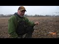 how to make a dirt hole set predator trapping