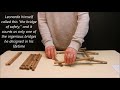 leonardo da vinci self supporting bridge assembly