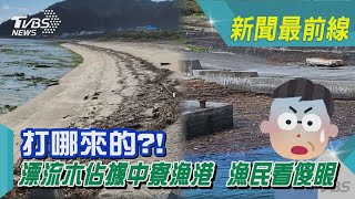 打哪來的?!漂流木佔據中寮漁港  漁民看傻眼｜TVBS新聞