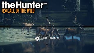 🔴 just one grenade... - theHunter: Call of the Wild (daily stream 21/365)