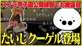 久しぶりのスプラ甲子園公開練習でクーゲルを持つたいじに驚くコメント欄【切り抜き/スプラトゥーン3】