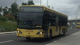 CDC Hillsbus: Scania K280UB 14.5m (ZF Ecomat) / Custom Coaches CB60 Evo II, m/o 9806