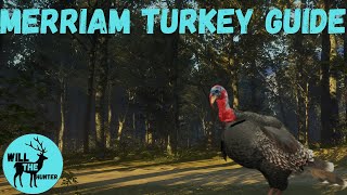 Merriam Turkey Guide For Te Awaroa! TheHunter Call Of The Wild