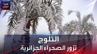 الثلوج تزور الصحراء الجزائرية