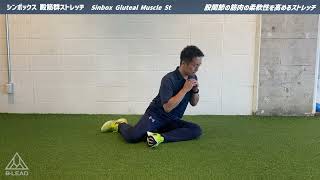 シンボックス 殿筋群ストレッチ｜Sinbox Gluteal Muscle St｜股関節の筋肉の柔軟性を高めるストレッチ