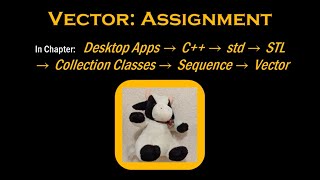 C++'s Vector: Assignment