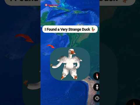 Pato enojado en la vida real encontrado en Google Map y Earth #shorts #mappoint