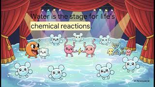 The Unique Properties of Water