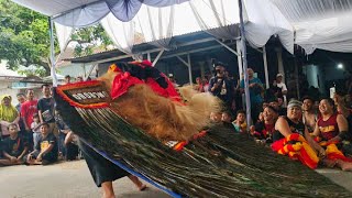 Horeg Lurr ‼️ Reog Ponorogo Atraksi Duel Kayang Gulung Para Pembarong Terkuat Gemparkan Glonggong