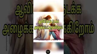 இன்றைய வேத வசனம்|Today Bible Verse inTamil |#todaybibleverse #todaybibleverseintamil #todayverse