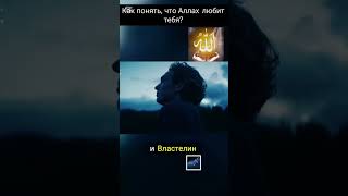 Как понять что Аллах любит тебя?#shorts#любящиепророка#топ