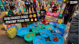 Fish Market | Galiff Street Fish Market Kolkata | Cheap Price | Recent Aquarium Fish Price Update