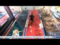 salut bonjour au clip n climb laval cliplaval 01 oct 2015