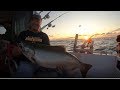 Lake Michigan Fishing and the Importance of Networking