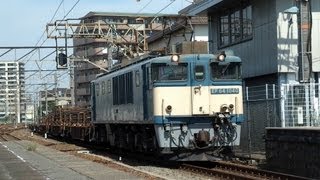 臨8862レ　EF64-1040(原色)牽引　日鐡チキ5500レール輸送貨物列車　大府駅通過