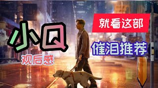 就看这部 | 分享电影小Q | 电影观后感