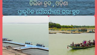 ଆସନ୍ତୁ ବୁଲିଯିବା ଚିଲିକା ହ୍ରଦ ☀️, ମା କାଳିଜାଈ ମନ୍ଦିର 🥰 || A Day withThe beautiful chilka lake ||