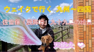 2020年10月30日（金）佐世保「展海峰」で九十九島の絶景を眺める　ログハウス「くじゃく荘」泊　　　　　　九州\u0026四国旅行4日目　ダイハツウェイクでGO！　ミニチュアダックスのももちゃん