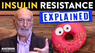 What is Insulin Resistance and What Causes It with Dr. Michael Klaper | Mastering Diabetes
