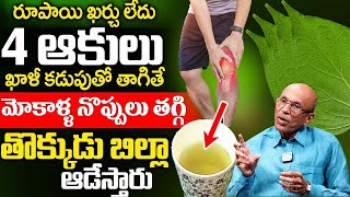 రోజు 4 ఆకులు తింటే మోకాళ్ళ నొప్పులు తగ్గి తొక్కుడు బిళ్ళ ఆడేస్తారు | Relief KneePain | Dr Madhusudan