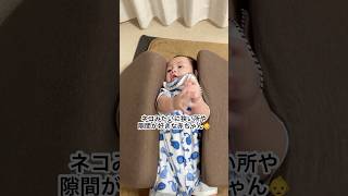 隙間や狭いところが好きな赤ちゃん【生後6ヶ月】 #baby