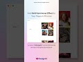 Add Image Hover Effect in WordPress Fast!