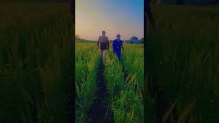 As rupad dekhan ❤🥰l असं रुपडं देखन #song #trending #shortvideo #shorts #viral