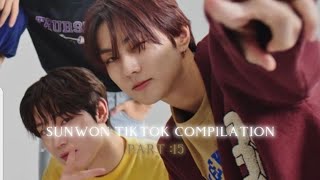 Sunwon tiktok compilation THAT DRIVE ME CRAZY part 15#sunoo #jungwon #enhypen