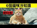 6個貓咪超級冷知識，你知道幾個？