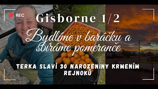 #10 Gisborne 1/2 - bydlíme v baráku, sbíráme pomeranče a Terka slaví 30.narozeniny krmením rejnoků