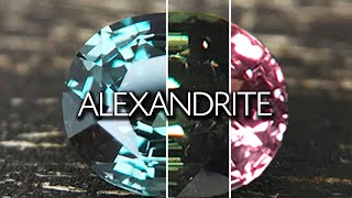 Stunning! 0,63ct Certified Alexandrite - Paul Reinhard