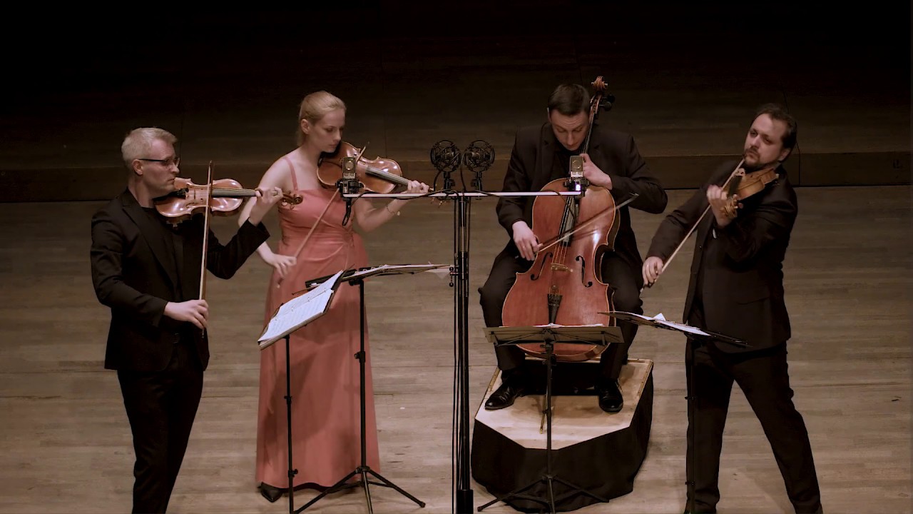 Leoš Janáček String Quartet No 1 Kreutzer Sonata Meccore String