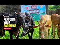 Your Qurbani, Their Sustenance