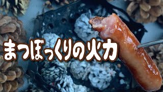 まつぼっくりだけでウインナーを焼く