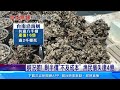 蚵仔大量死亡！ 台南沿海蚵農損失逾4億｜94要賺錢