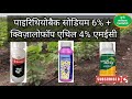 घासा हिट्वीड मैक्स कपास में दुब मोथा घास जड़ से करें खत्म l ghasa bayer l hitweed maxx l dozo max l