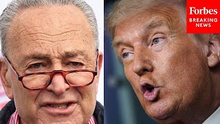 Chuck Schumer Asked If Democrats Are Politically 'Tone Deaf' For Fighting Donald Trump