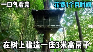 一口气看完，花费1个月时间，在树上建造一座3米高的房子，在野外生存