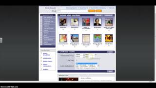 How to Use Badgerlink