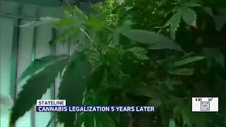 The legalization of cannabis, five years later