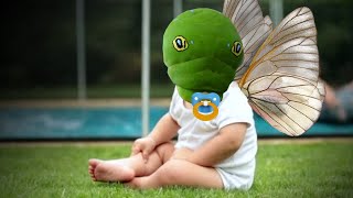 Java Inheritance and Polymorphism: a Practical Tutorial
