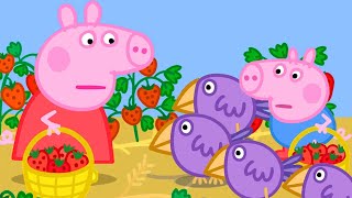 Peppa Pig Picks Strawberries | Family Kids Cartoon