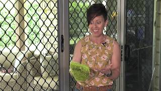 Clean Fly Screens in a Flash with the Norwex Car Wash Mitt